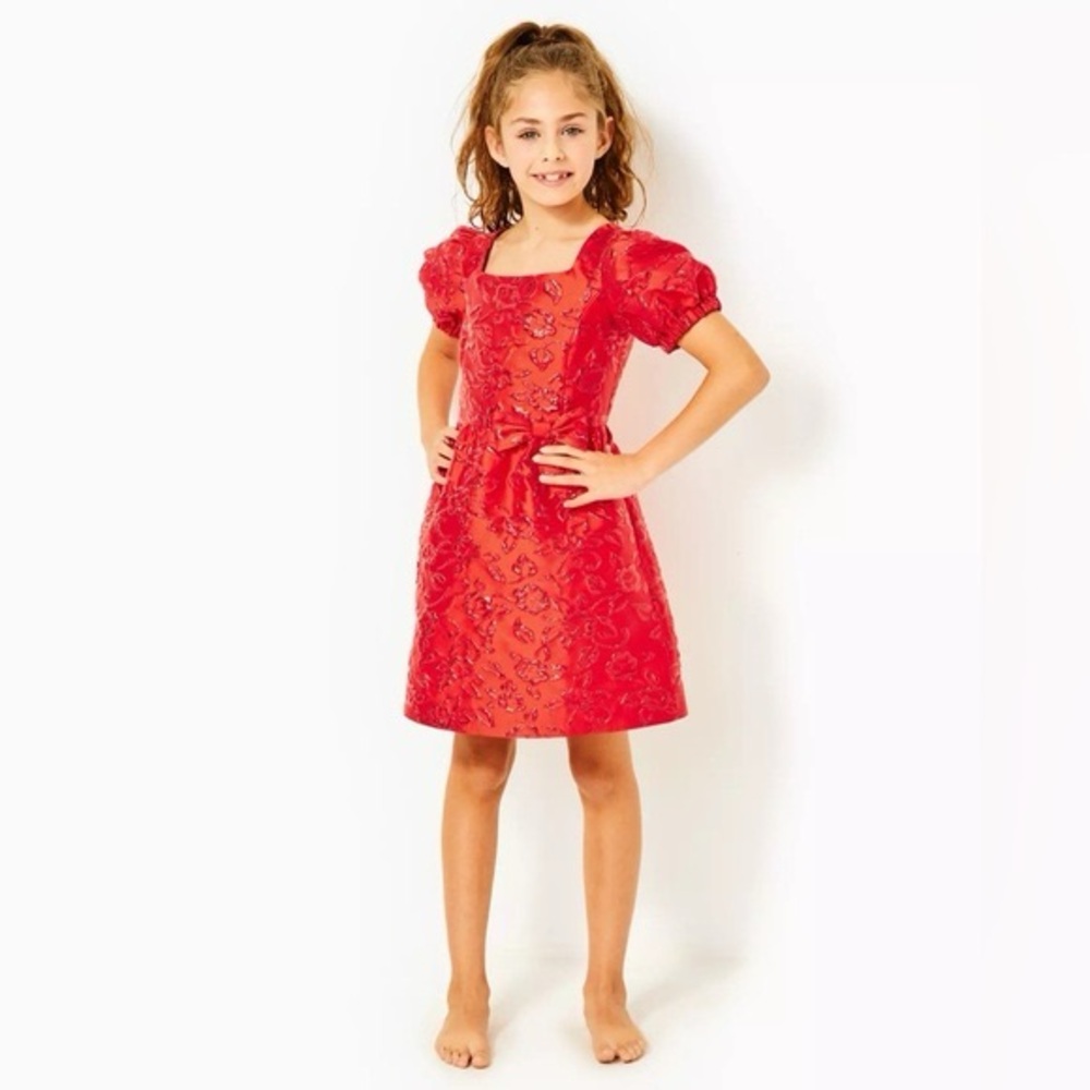 Lilly Pulitzer Amaryllis Red Puff Sleeve Floral Brocade Winter Dress Size 10